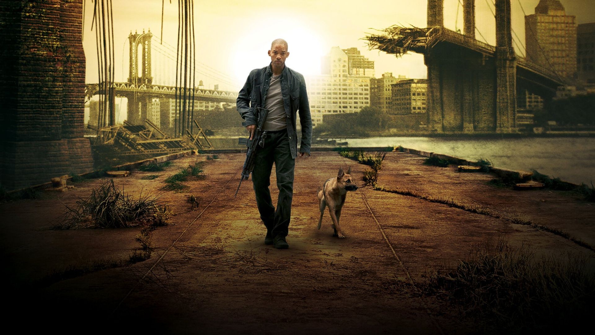 ⁣I am Legend