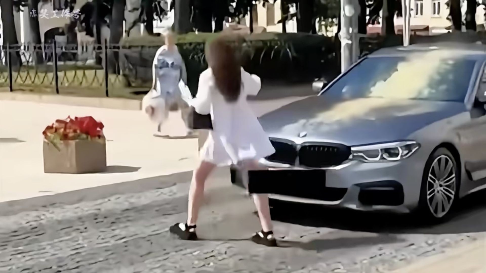 🙀😹🙀